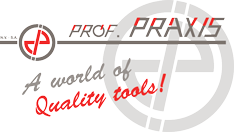 prof.praxis logo
